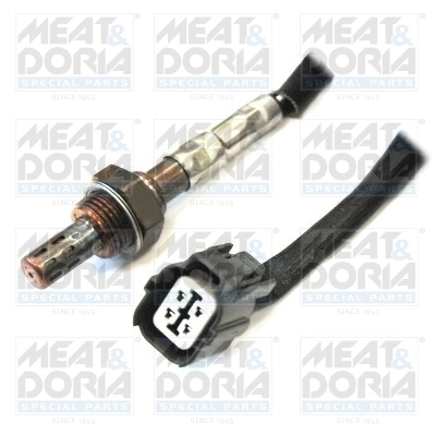 Oxygen Sensor